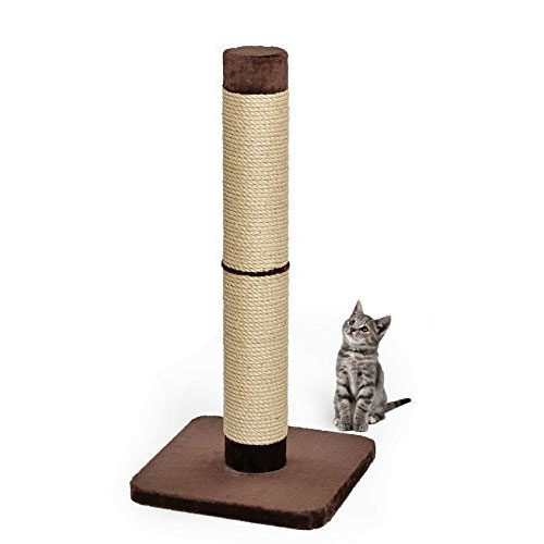 Cat Furniture, Cat Trees & Cat Scratching Posts